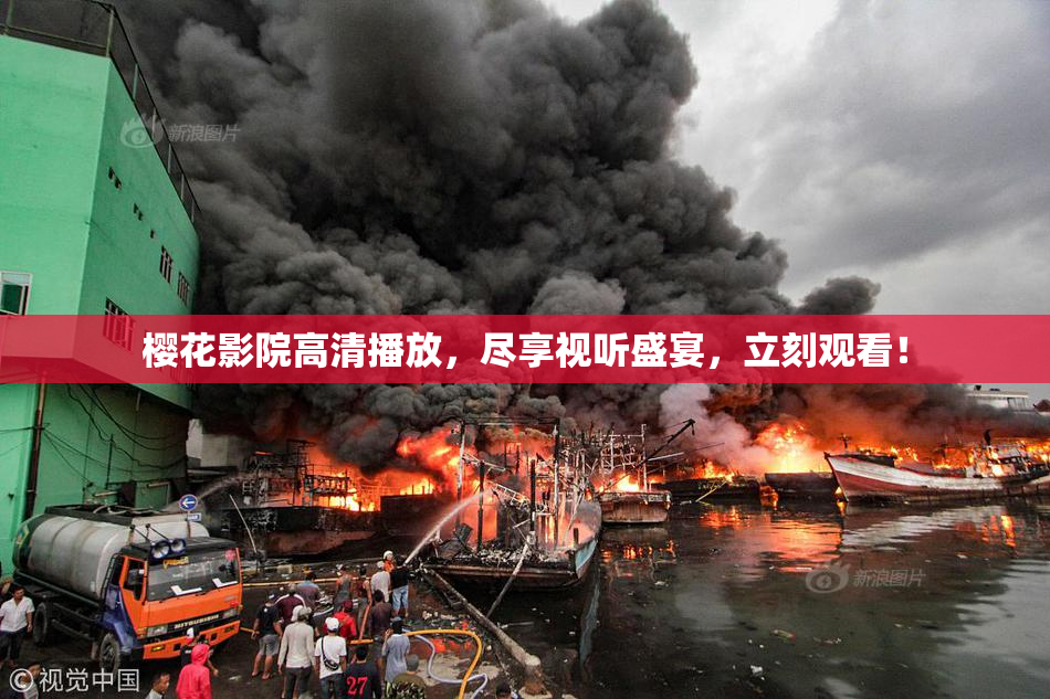 樱花影院高清播放，尽享视听盛宴，立刻观看！