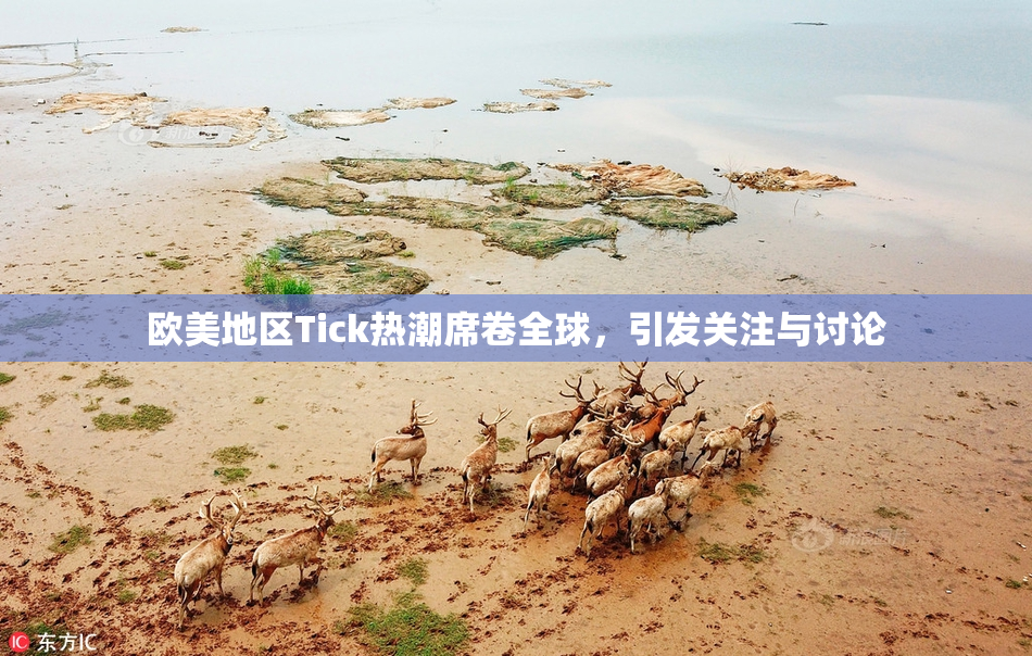 欧美地区Tick热潮席卷全球，引发关注与讨论
