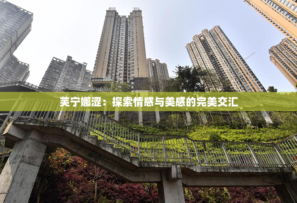 芙宁娜涩：探索情感与美感的完美交汇