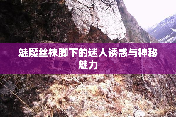 魅魔丝袜脚下的迷人诱惑与神秘魅力