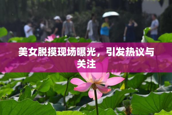 美女脱摸现场曝光，引发热议与关注