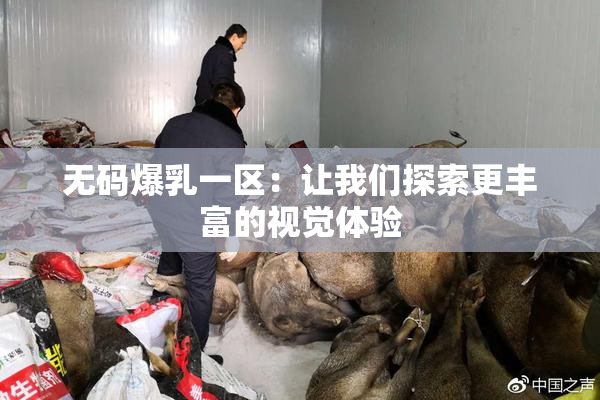 无码爆乳一区：让我们探索更丰富的视觉体验