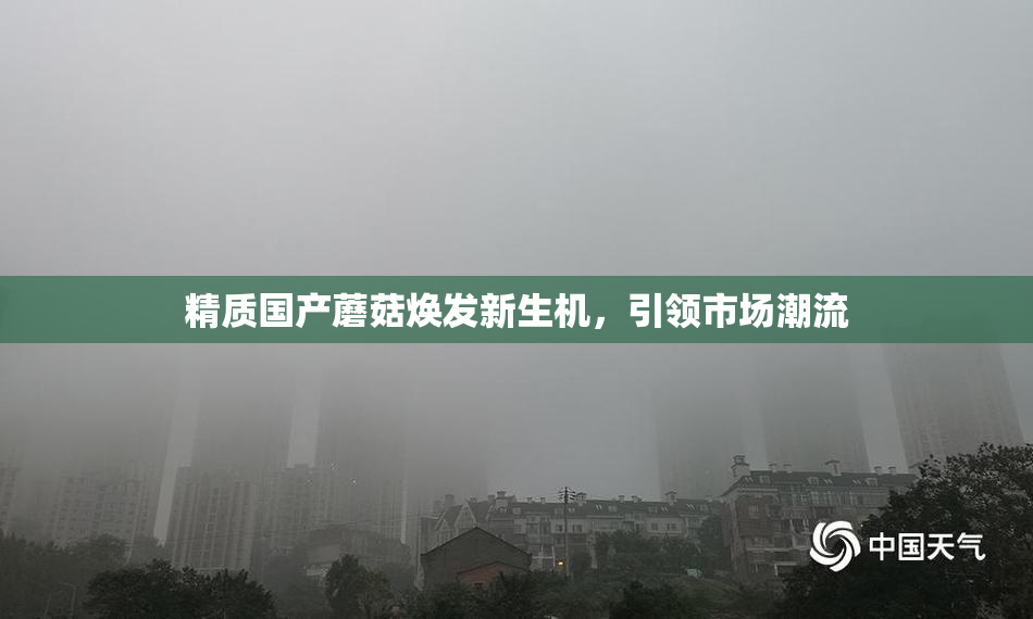 精质国产蘑菇焕发新生机，引领市场潮流