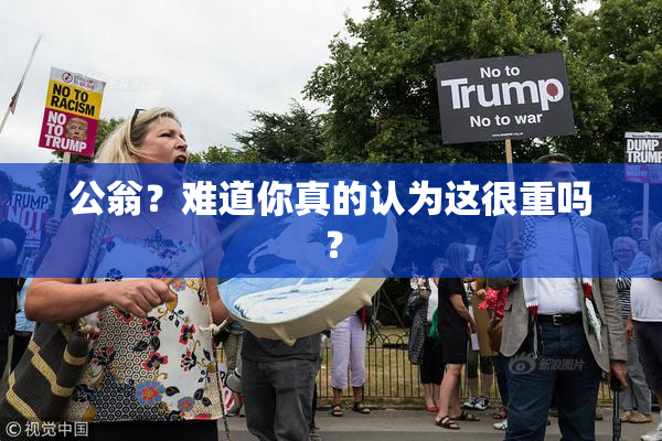 公翁？难道你真的认为这很重吗？