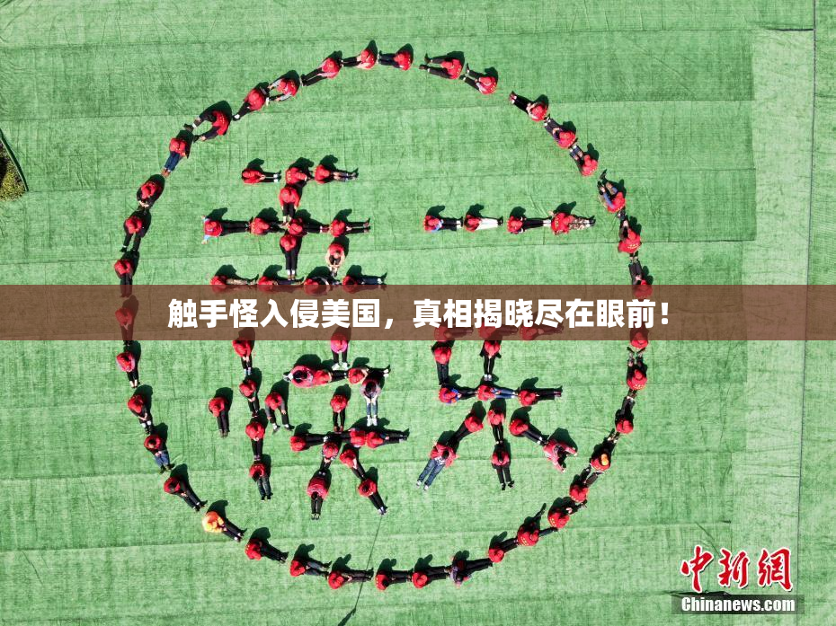 触手怪入侵美国，真相揭晓尽在眼前！