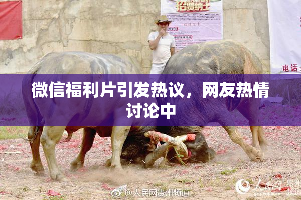 微信福利片引发热议，网友热情讨论中