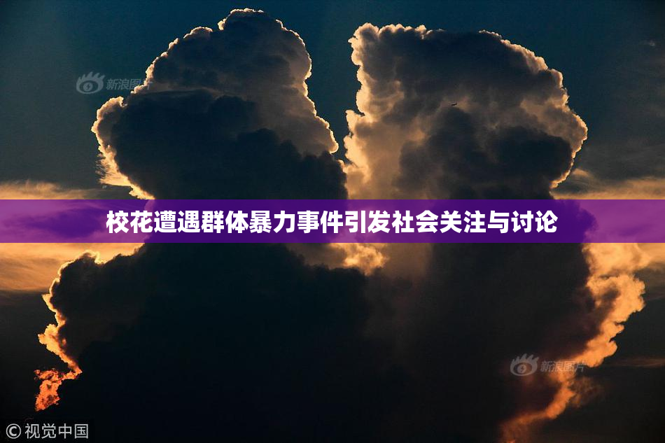校花遭遇群体暴力事件引发社会关注与讨论