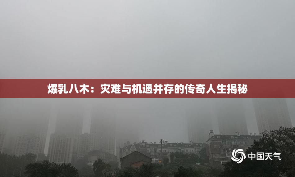 爆乳八木：灾难与机遇并存的传奇人生揭秘