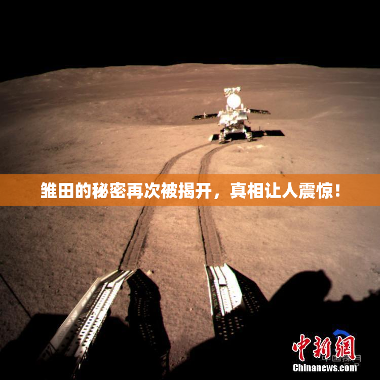 雏田的秘密再次被揭开，真相让人震惊！