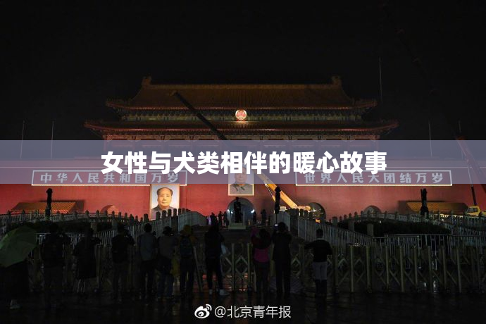 女性与犬类相伴的暖心故事