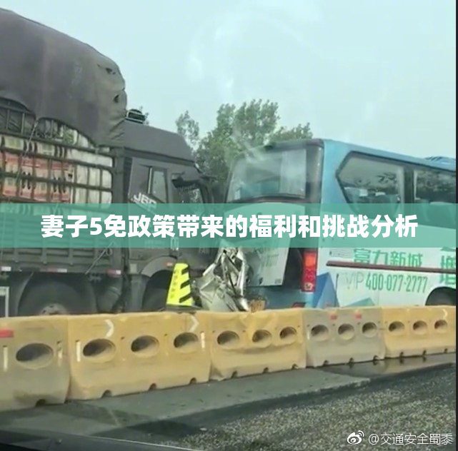 妻子5免政策带来的福利和挑战分析