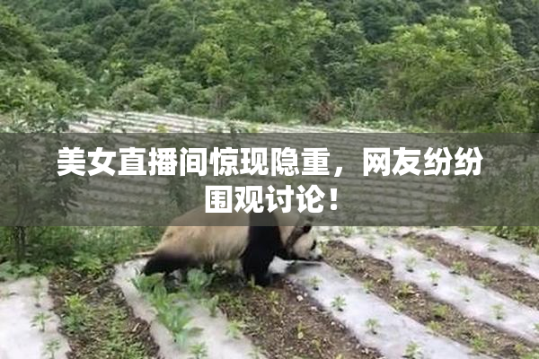美女直播间惊现隐重，网友纷纷围观讨论！