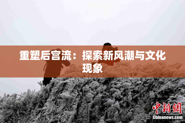 重塑后宫流：探索新风潮与文化现象