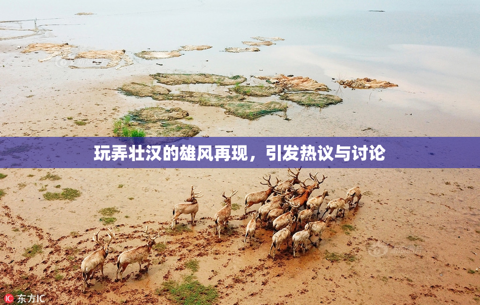玩弄壮汉的雄风再现，引发热议与讨论