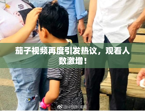 茄子视频再度引发热议，观看人数激增！