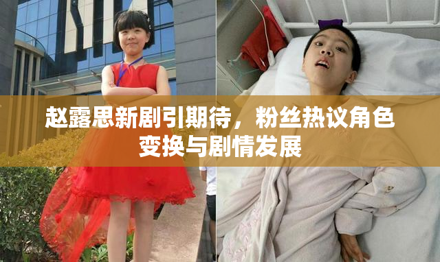 赵露思新剧引期待，粉丝热议角色变换与剧情发展