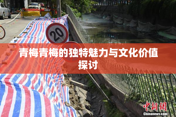 青梅青梅的独特魅力与文化价值探讨