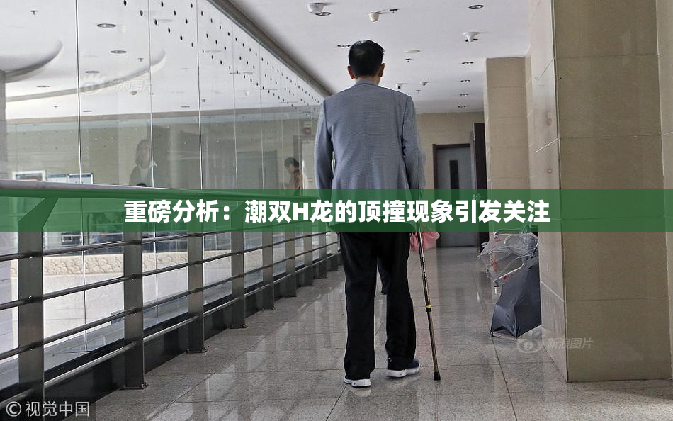 重磅分析：潮双H龙的顶撞现象引发关注