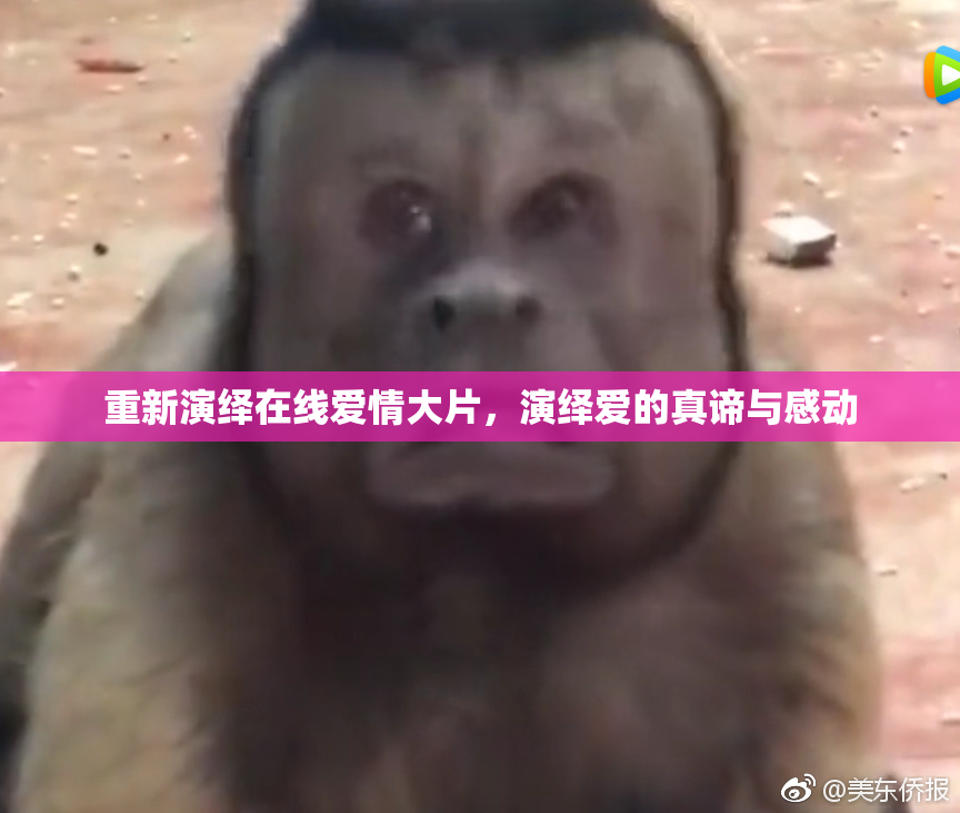 重新演绎在线爱情大片，演绎爱的真谛与感动