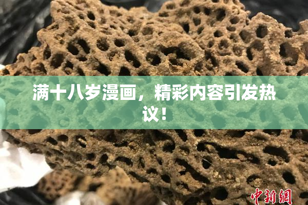 满十八岁漫画，精彩内容引发热议！