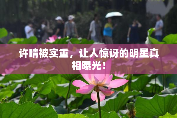 许晴被实重，让人惊讶的明星真相曝光！