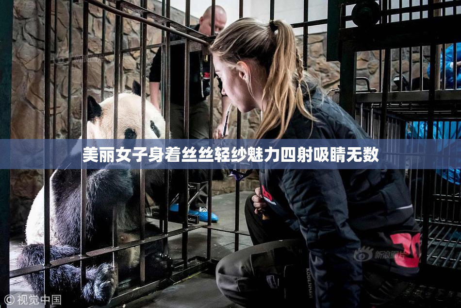 美丽女子身着丝丝轻纱魅力四射吸睛无数