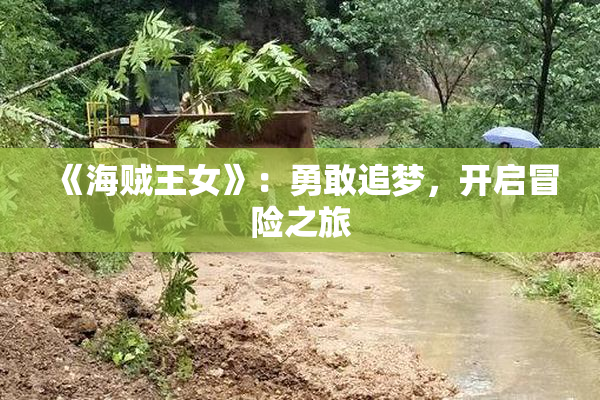 《海贼王女》：勇敢追梦，开启冒险之旅