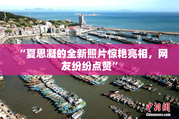 “夏思凝的全新照片惊艳亮相，网友纷纷点赞”
