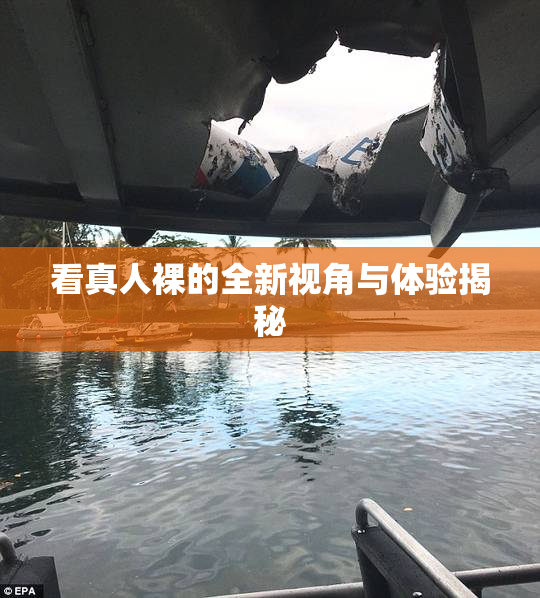 看真人裸的全新视角与体验揭秘