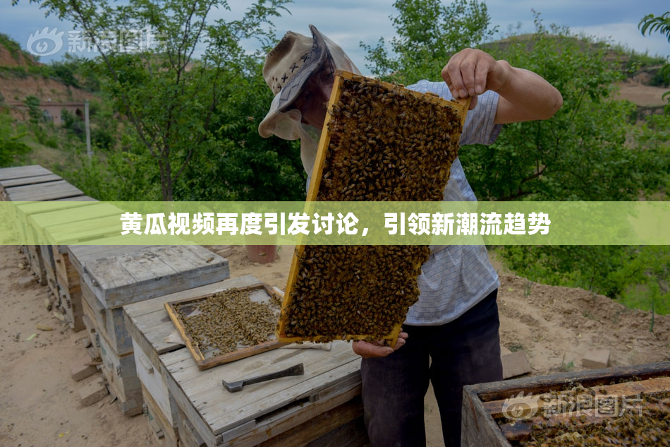 黄瓜视频再度引发讨论，引领新潮流趋势