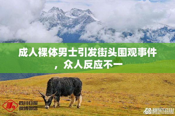 成人裸体男士引发街头围观事件，众人反应不一