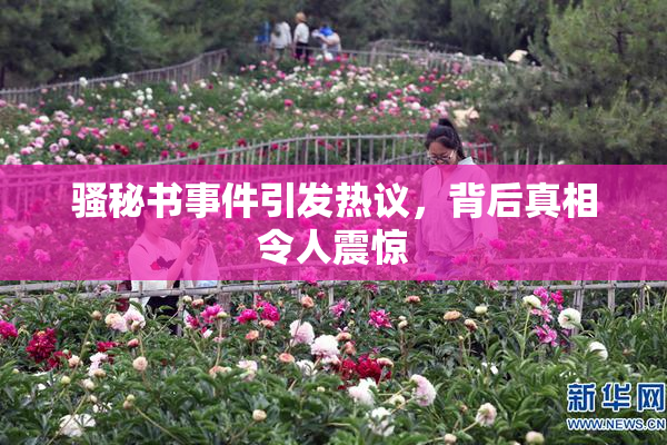 骚秘书事件引发热议，背后真相令人震惊