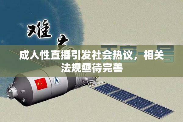 成人性直播引发社会热议，相关法规亟待完善