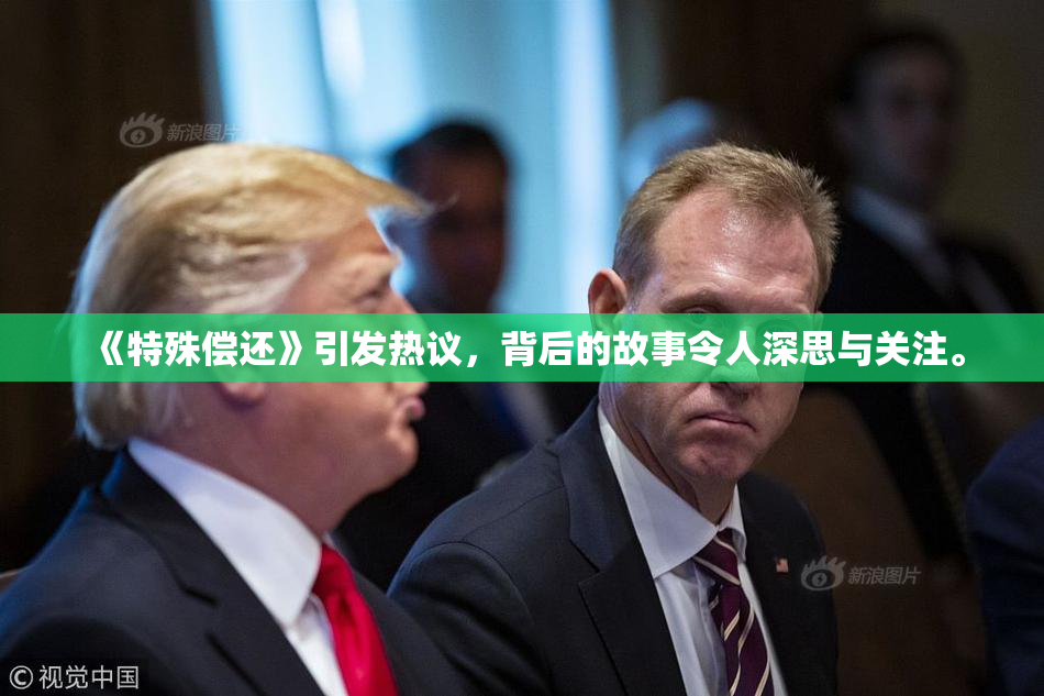 《特殊偿还》引发热议，背后的故事令人深思与关注。
