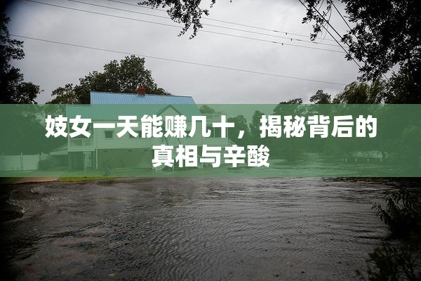 妓女一天能赚几十，揭秘背后的真相与辛酸
