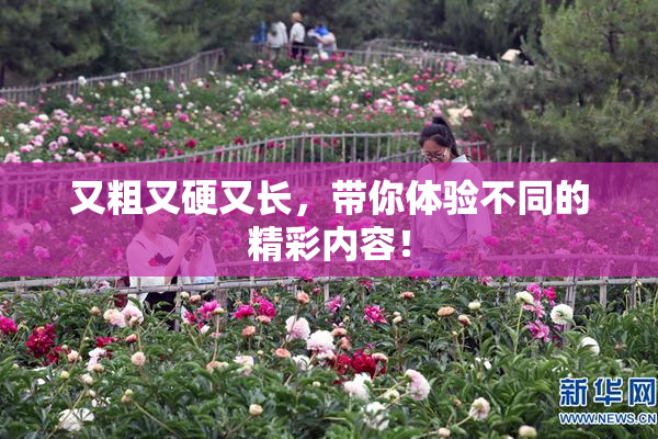 又粗又硬又长，带你体验不同的精彩内容！