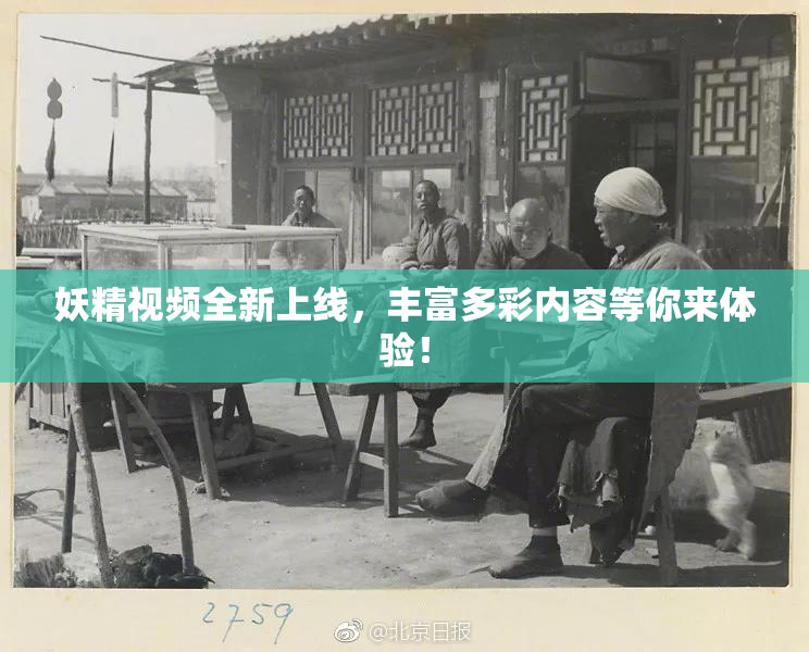 妖精视频全新上线，丰富多彩内容等你来体验！