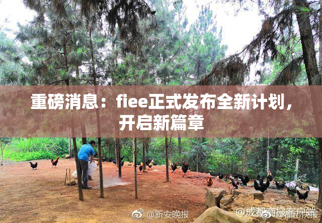 重磅消息：fiee正式发布全新计划，开启新篇章