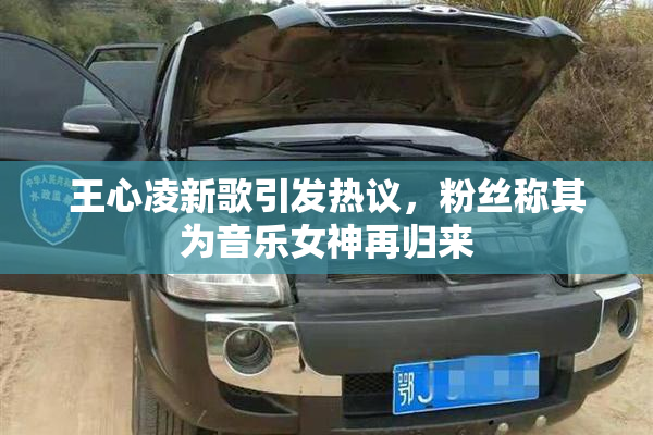 王心凌新歌引发热议，粉丝称其为音乐女神再归来