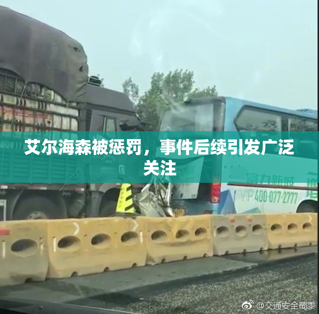 艾尔海森被惩罚，事件后续引发广泛关注