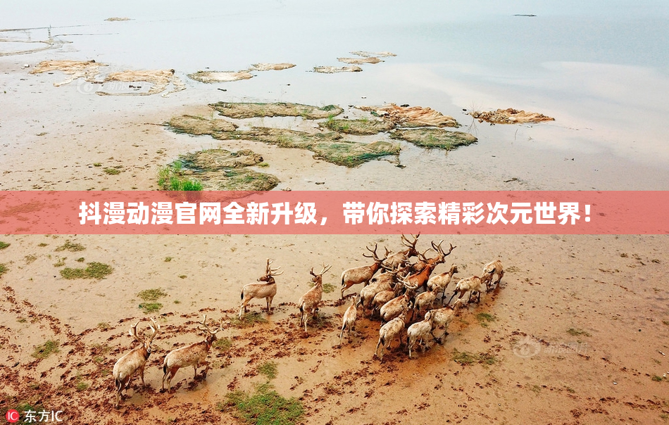 抖漫动漫官网全新升级，带你探索精彩次元世界！