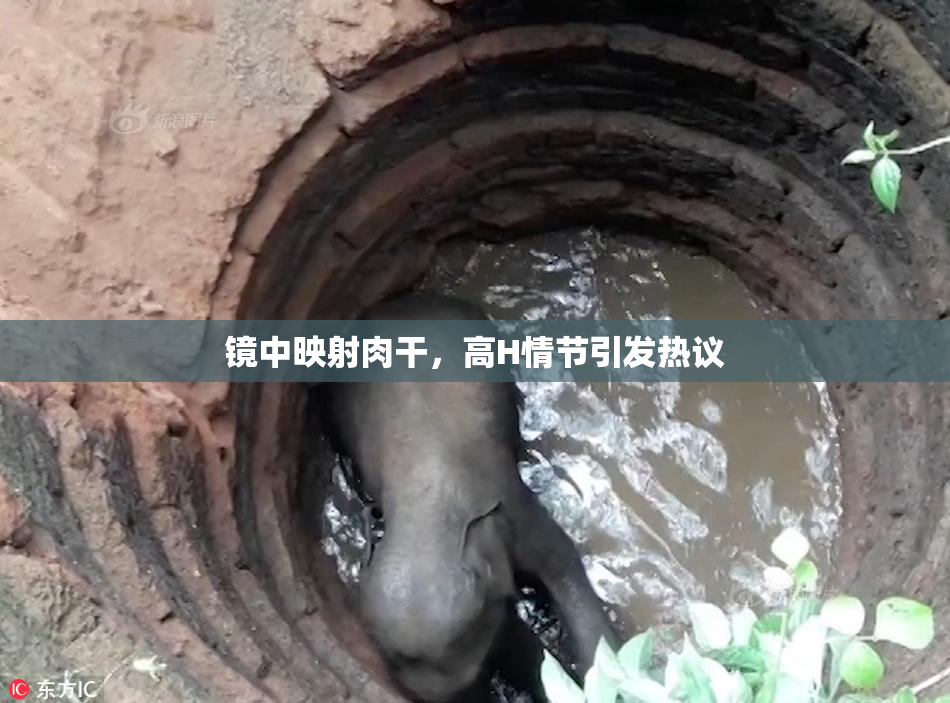 镜中映射肉干，高H情节引发热议