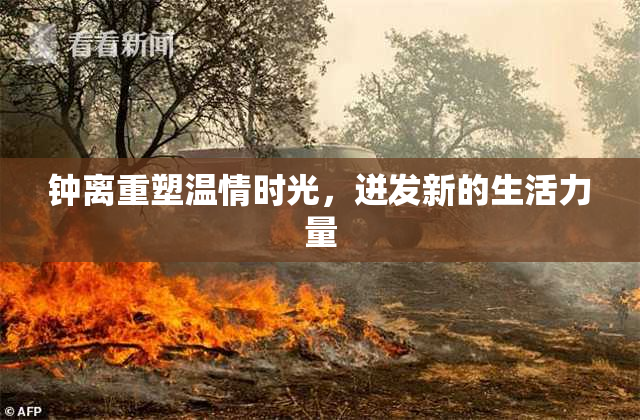 钟离重塑温情时光，迸发新的生活力量