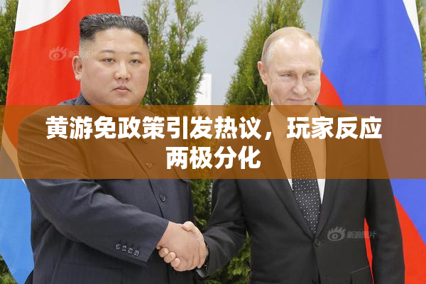 黄游免政策引发热议，玩家反应两极分化
