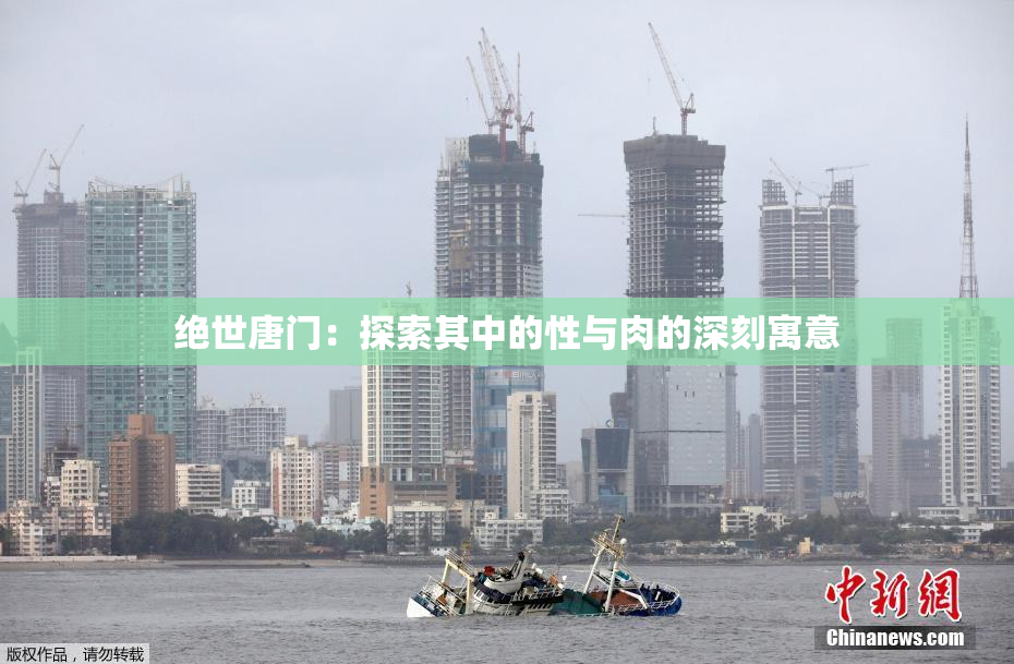 绝世唐门：探索其中的性与肉的深刻寓意