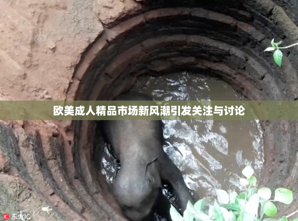 欧美成人精品市场新风潮引发关注与讨论