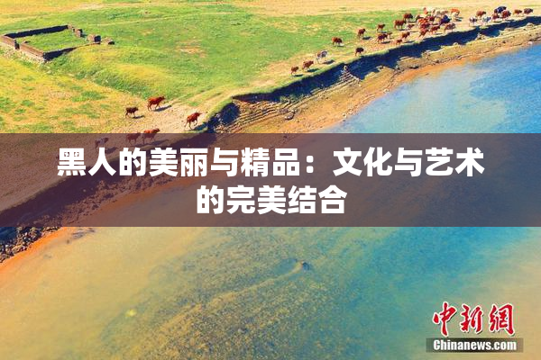 黑人的美丽与精品：文化与艺术的完美结合
