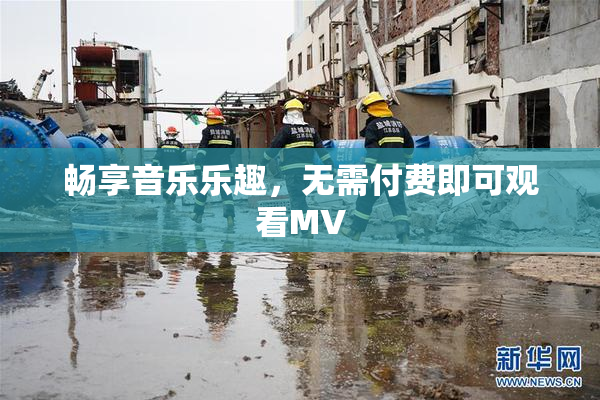 畅享音乐乐趣，无需付费即可观看MV