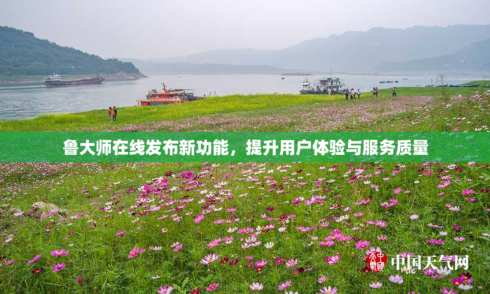 鲁大师在线发布新功能，提升用户体验与服务质量