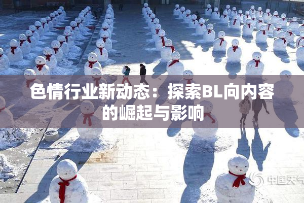 色情行业新动态：探索BL向内容的崛起与影响